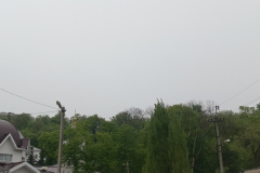 ВерхнийПарк-ООПТ-26.04.2025_1