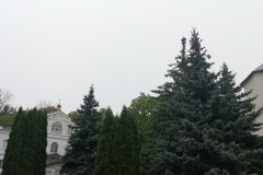 ВерхнийПарк-ООПТ-26.04.2025_3