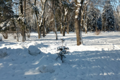 Парк-Быханов-Сад3