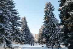 Парк-Быханов-Сад7