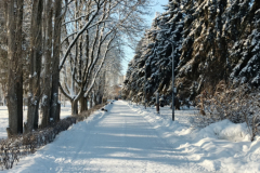 Парк-Быханов-Сад9