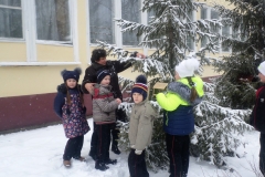 Покормите птиц зимой!