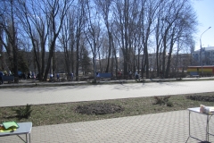 IMG_3181