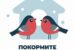 Покормите птиц зимой 2025