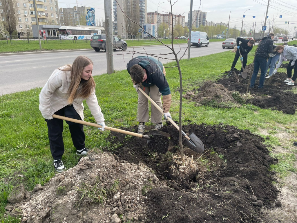 Анонс акции проекта «Посади дерево-подари городу чистый воздух» на ул.  Липовская — МБУ ДО ЭЦ ЭкоСфера г. Липецка